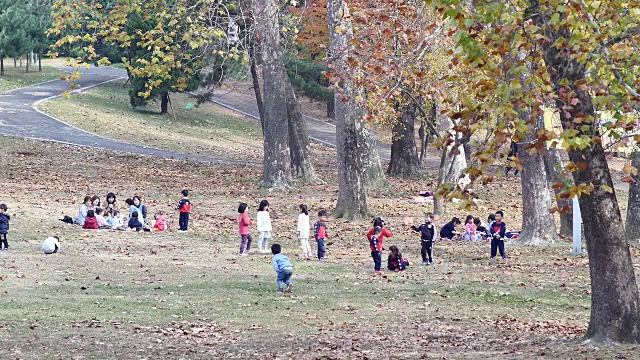 秋天，孩子们在首尔儿童大公园享受野餐视频素材