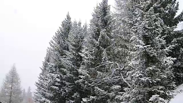 白云石山，意大利特伦蒂诺上阿迪杰下雪的景象。视频下载