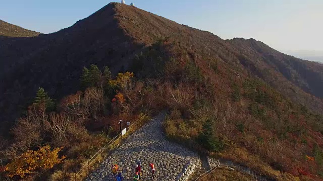 鸟瞰图覆盖了许多枫树在雪山山国家公园秋天视频素材