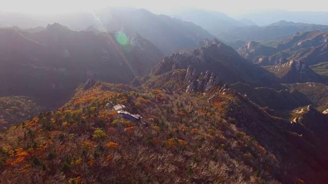 鸟瞰图覆盖了许多枫树在雪山山国家公园秋天视频素材