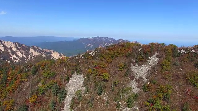 鸟瞰图覆盖了许多枫树在雪山山国家公园秋天视频素材