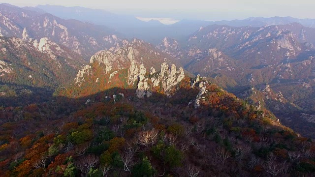 鸟瞰图覆盖了许多枫树在雪山山国家公园秋天视频素材