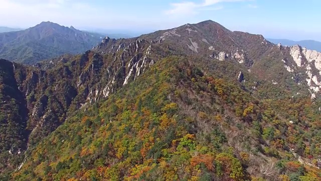 鸟瞰图覆盖了许多枫树在雪山山国家公园秋天视频素材