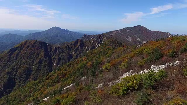 鸟瞰图覆盖了许多枫树在雪山山国家公园秋天视频素材