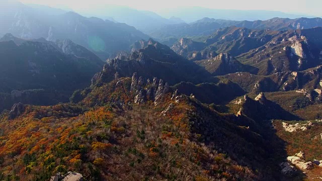 鸟瞰图覆盖了许多枫树在雪山山国家公园秋天视频素材