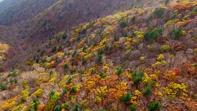 鸟瞰图的雪山国家公园覆盖了许多枫树在秋天视频素材