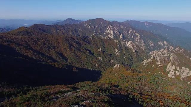 鸟瞰图覆盖了许多枫树在雪山山国家公园秋天视频素材