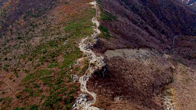 鸟瞰图覆盖了许多枫树在雪山山国家公园秋天视频素材