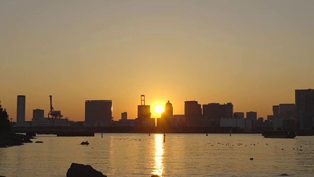 台场的夜景视频素材