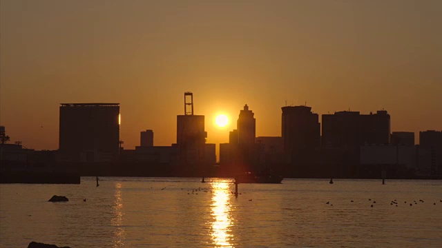 台场的夜景视频素材