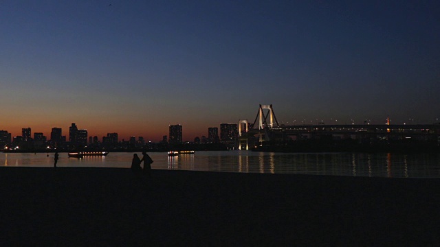 台场的夜景视频素材