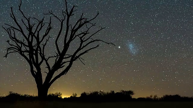 一棵枯死的金合欢树的静止的夜晚，银河蜿蜒穿过黑暗的风景，月亮升起来照亮风景视频素材