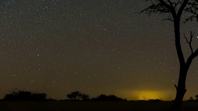 一个线性的时间推移的黑暗景观场景和一个剪影的金合欢树与星星穿过和月亮升起照亮景观视频素材