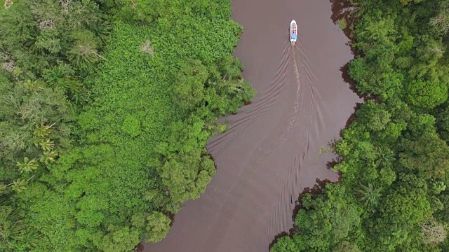 图库阿卜杜勒拉赫曼公园的丛林和河流道路视频素材