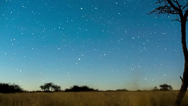 一个线性的时间推移的黑暗景观场景和一个剪影的金合欢树与星星扭曲通过，月亮升起来照亮景观视频素材