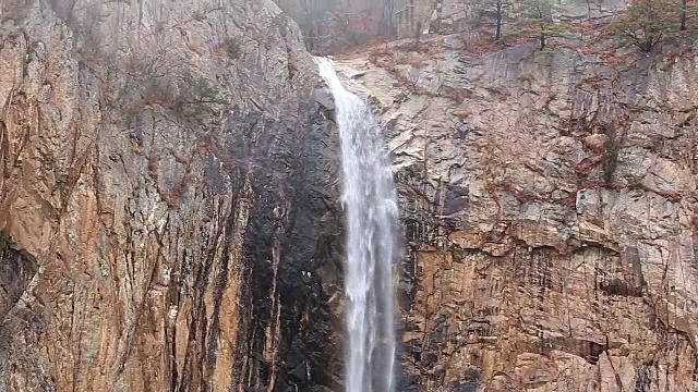 大成瀑布和雪山树的美景视频素材