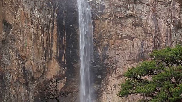 大成瀑布和雪山树的美景视频素材