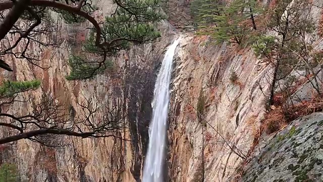 大成瀑布和雪山树的美景视频素材