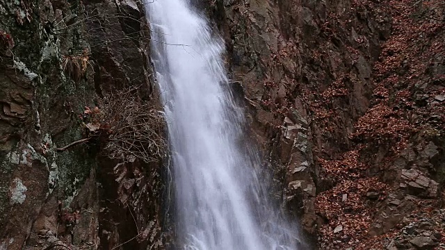 观大成瀑布和雪山落叶视频素材