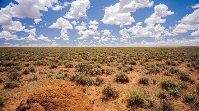 直线垂直的时间推移向上移动，前景是一个蚁丘，背景是无尽的平坦景观，不断发展的积云，滚动和消失，在一天的蓝天视频素材