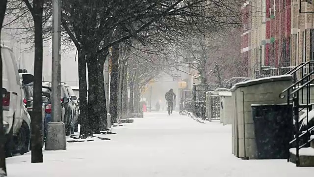 布鲁克林的暴风雪视频素材