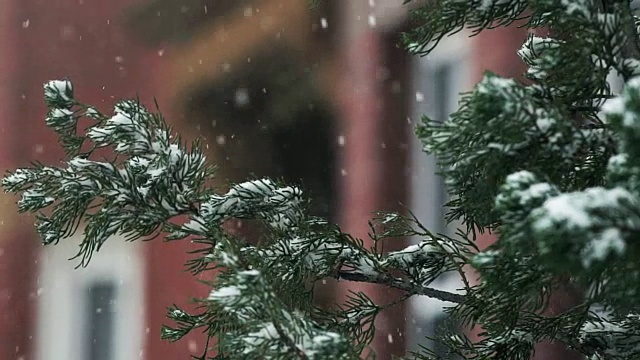 布鲁克林的暴风雪视频素材