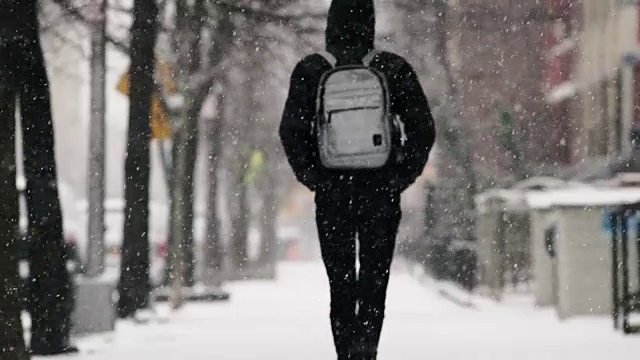 布鲁克林的暴风雪视频素材