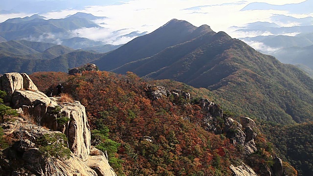 秋天的大墩山景视频素材