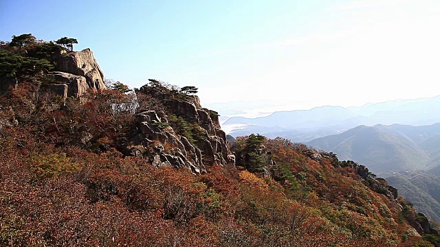 秋季的大墩山景观视频素材