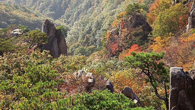 秋季的大墩山景观视频素材