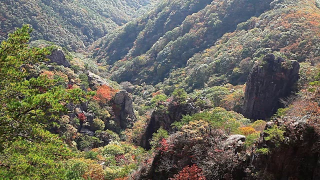 秋天的大墩山景视频素材