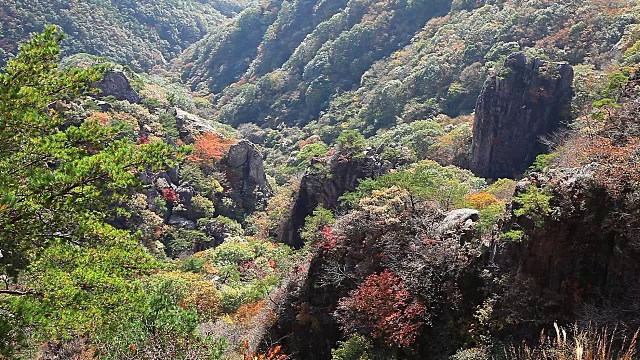 秋天的大墩山景视频素材