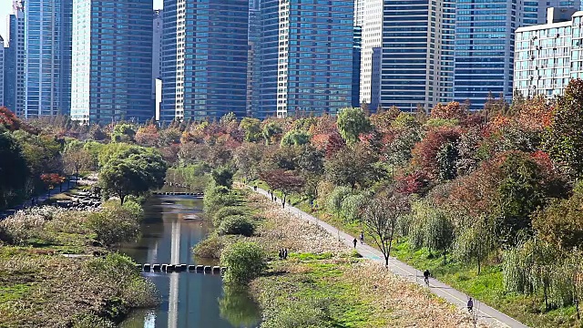 秋日从羊家川溪拍摄的塔宫视频素材