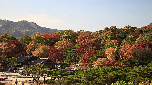 长庚宫秋景(首尔朝鲜王朝五大宫殿之一)视频素材