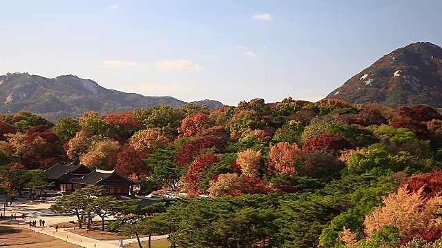 长庚宫秋景(首尔朝鲜王朝五大宫殿之一)视频素材