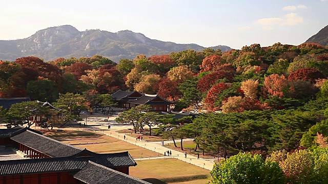 长庚宫秋景(首尔朝鲜王朝五大宫殿之一)视频素材