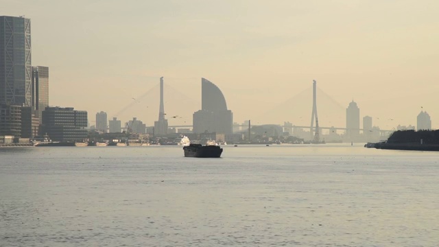 上午上海市区视频素材