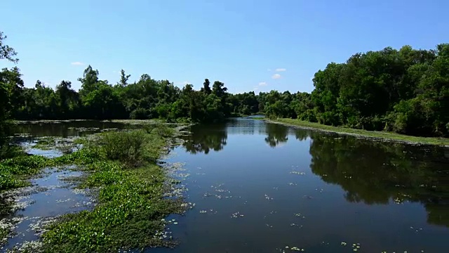 河在森林视频素材