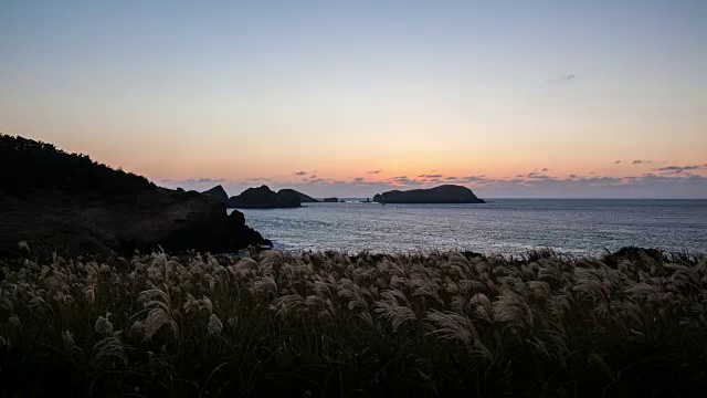 日落时分，芦苇和查格维多岛的海景视频素材