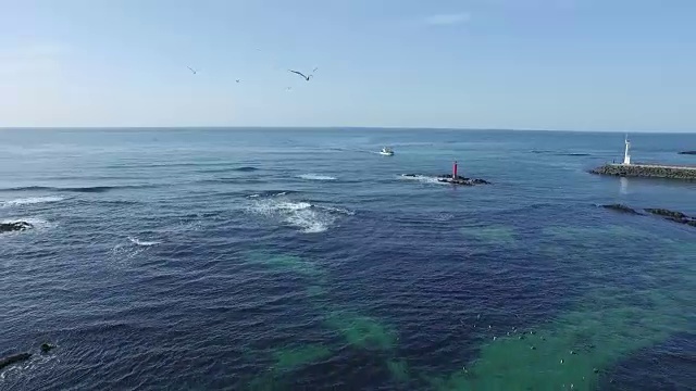 有灯塔和海鸥的海景视频素材