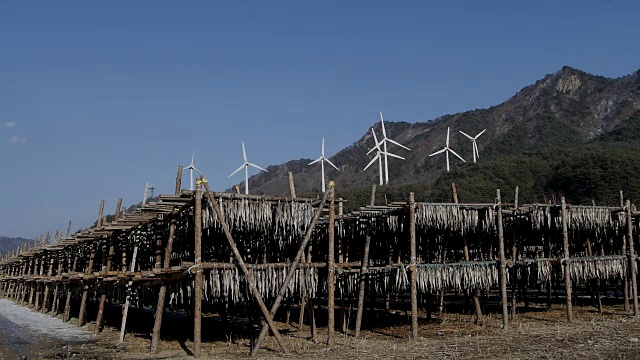 风力涡轮机旋转和挂干鱼在山视频素材