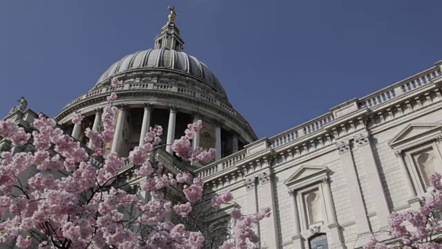 圣保罗大教堂和春天盛开，伦敦，英格兰，英国，欧洲视频素材