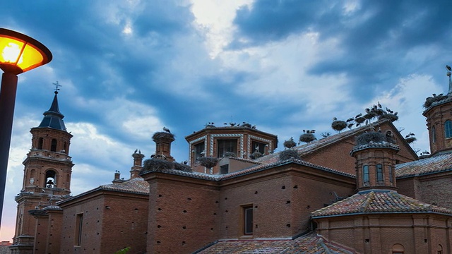 WS T/L PAN View of White stork colony / Alfaro，里奥哈，西班牙视频素材