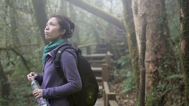 4K:在雨林自然步道中徒步的女性，4K(超高清)视频素材