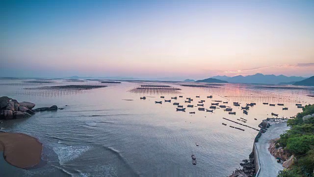 紫菜在夕阳下培植田野视频素材