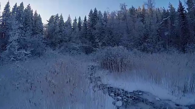 雪地森林的冬季鸟瞰图视频素材