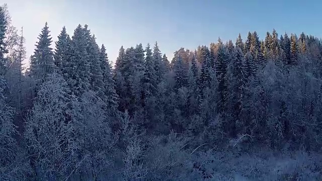 雪地森林的冬季鸟瞰图视频素材