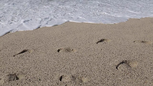 海滩场景，新巴亚尔塔，纳亚里特，巴亚尔塔港，墨西哥，北美视频素材