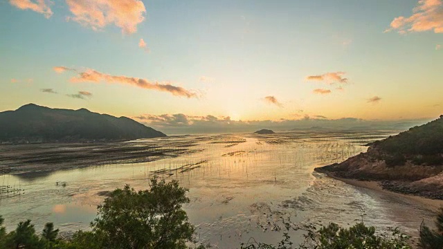 紫菜田里的日出视频素材