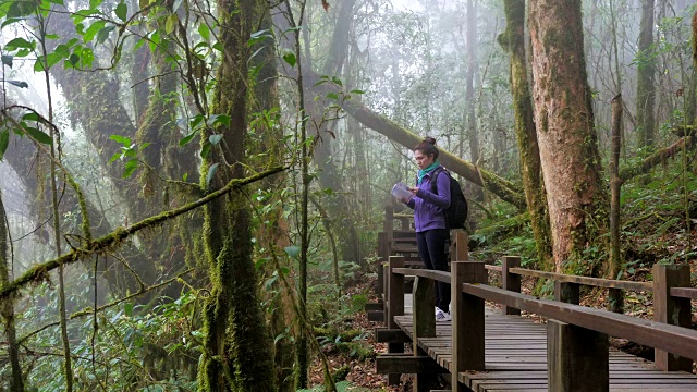 在热带雨林中徒步旅行的妇女视频素材